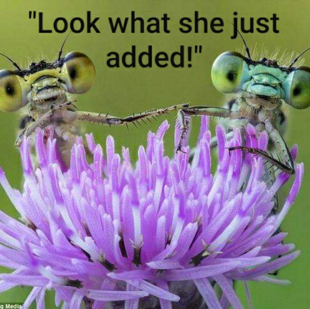 💜 just added to the closet💜